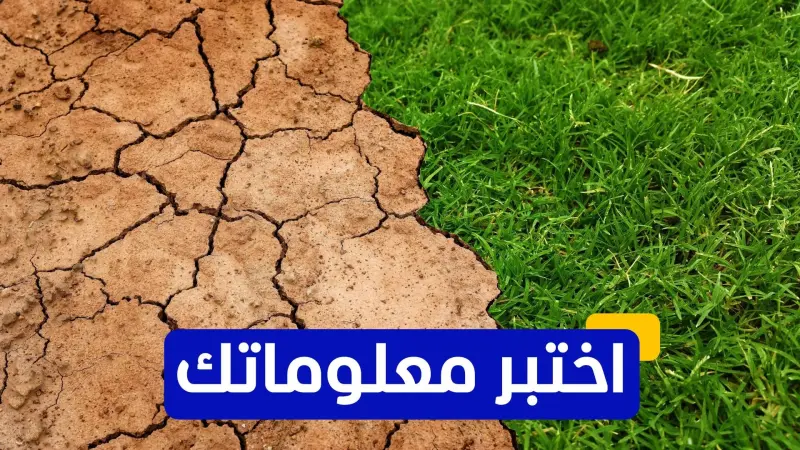 اختبر معلوماتك - أي من النباتات تعتبر الأكثر مقاومة للتصحر؟