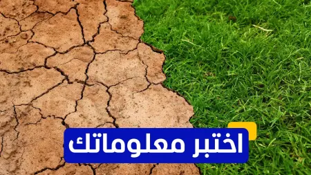 related_news_inside_blogsاختبر معلوماتك - أي من النباتات تعتبر الأكثر مقاومة للتصحر؟