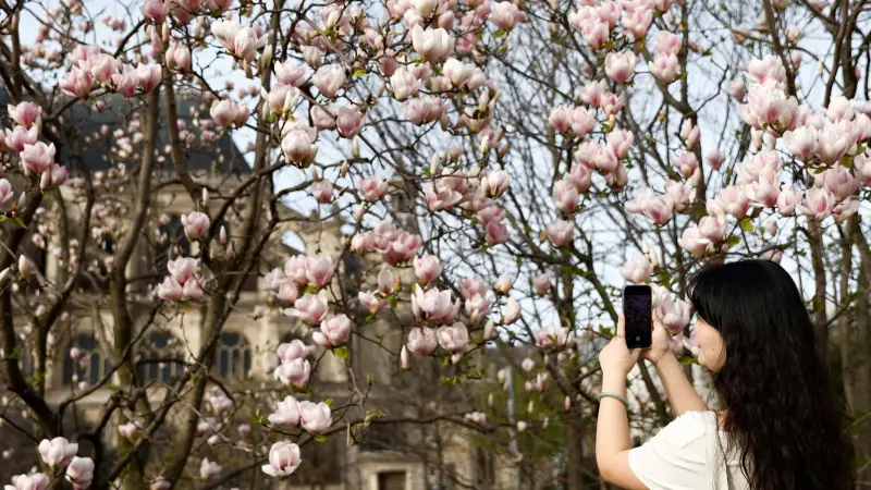 الباريسيون يصوتون على استبدال مواقف السيارات بمساحات خضراء