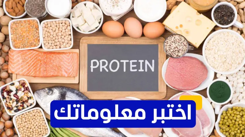 اختبر معلوماتك عن النظام الغذائي الغني بالبروتين