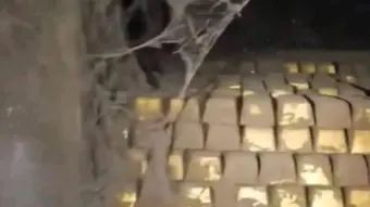 فيديو - حقيقة العثور على "مغارة ذهب" في درعا جنوب سوريا