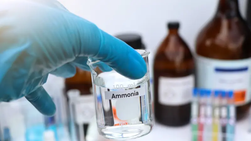 علماء كوريون يطورون طريقة أنظف وأرخص لإنتاج الأمونيا