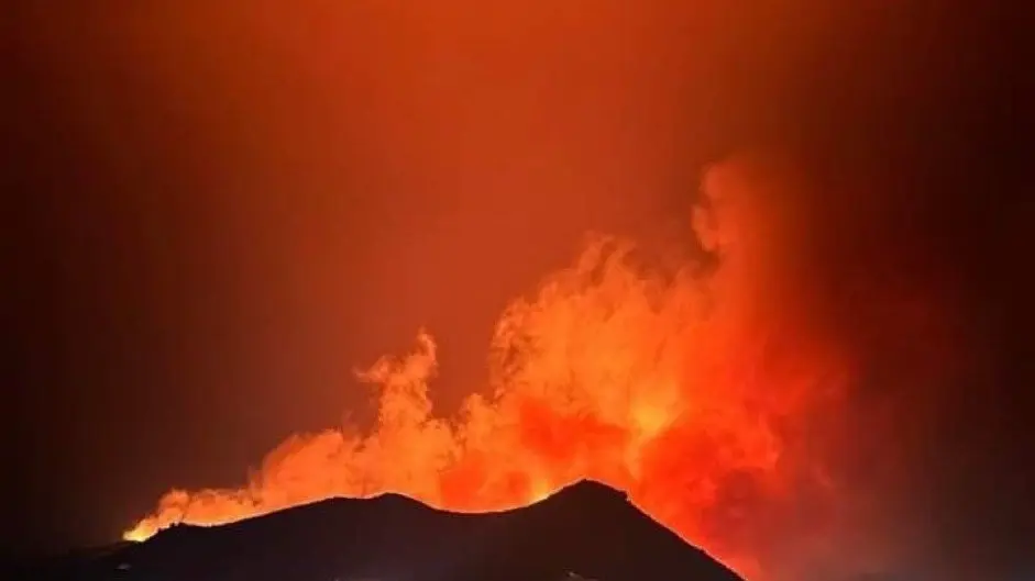 الرئيس الجزائري يوجّه بإقرار عقوبة الإعدام لمتعمدي إشعال حرائق الغابات الرئيس الجزائري يوجّه بإقرار عقوبة الإعدام لمتعمدي إشعال حرائق الغابات
