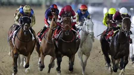 related_news_inside_blogsكأس دبي العالمي للخيول 2026.. الإثارة تطبع النسخة الـ30