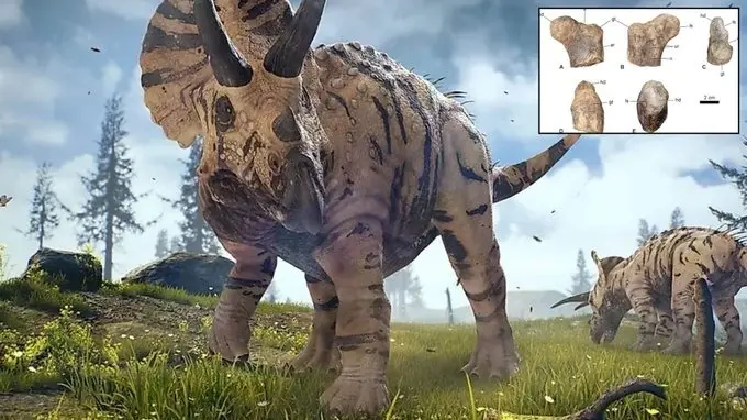 اكتشاف أقدم ديناصور من فصيلة "سيرابودا" في العالم بالمغرب