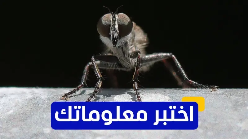 اختبر معلوماتك - ما هي العوامل التي تزيد من انتشار مرض الكالازار؟