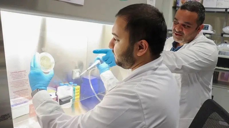 دراسة: بكتيريا الفم قد تكشف مبكرا عن مخاطر السمنة