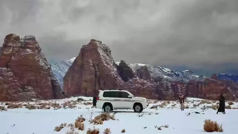 متى موعد فصل الشتاء في السعودية؟ قائمة فعاليات شتوية مميزة