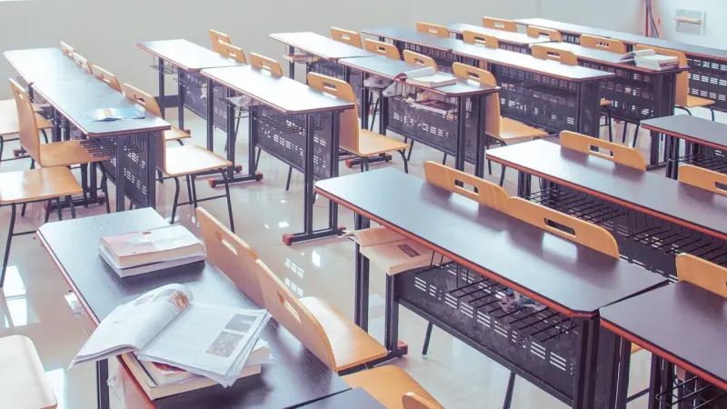 فيديو - "كل الرجال أندال".. معلمة تُثير الجدل في مصر