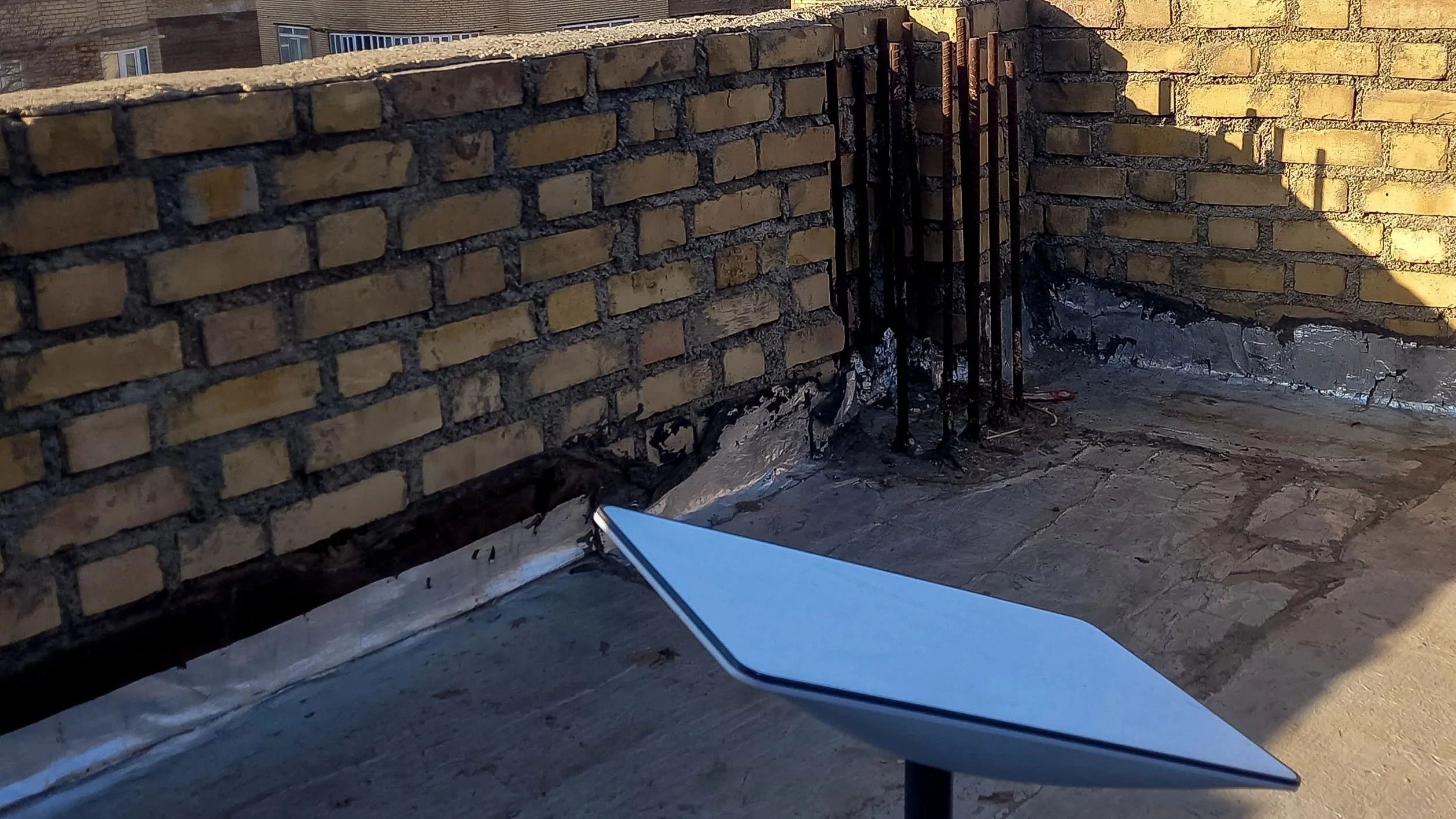 بلومبرغ: ماسك يقدم خدمة ستارلينك مجانا في إيران 