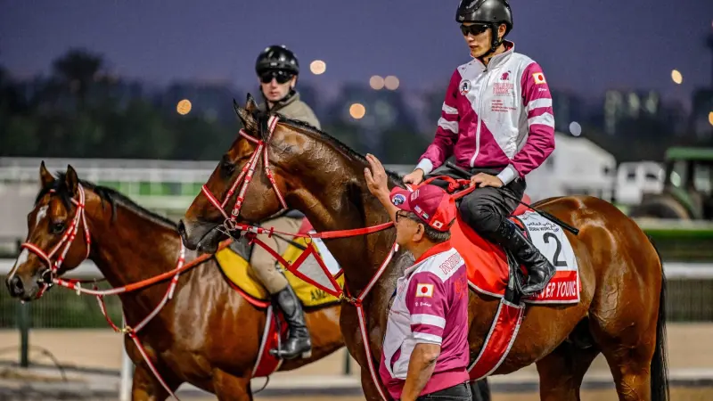 الخيول المشاركة في كأس دبي العالمي للخيول 2025.. بدأ العرض