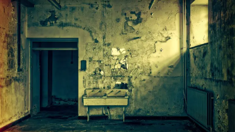 فيديو - صاحبة دار زهرة مصر للرعاية عن جريمة ضحى: ذنب الفتاة في رقبة أبيها