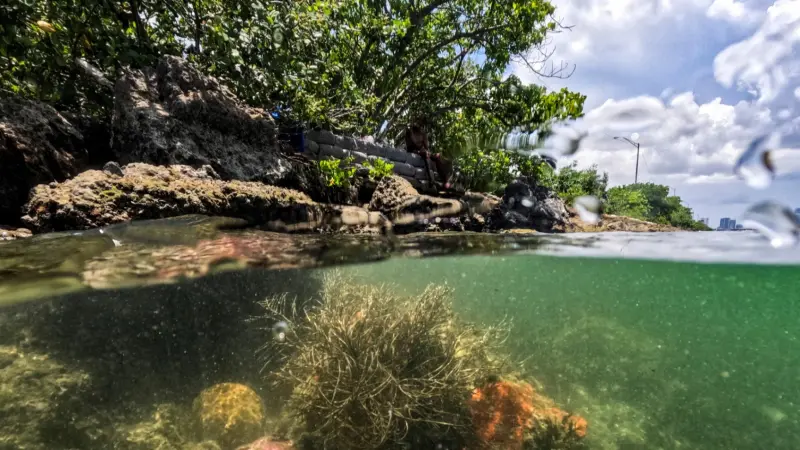جفاف وفيضانات وحرائق.. كيف يهدد التطرف المناخي العالم؟