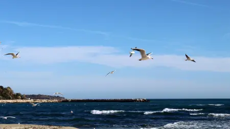 بعد عقود من دراسة السعادة.. علماء يكشفون ما غيّروه في حياتهم