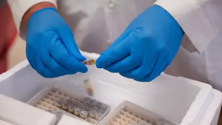 خلايا جذعية تُنتج الإنسولين.. إنجاز قد يغيّر علاج السكري