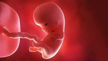 related_news_inside_blogsفرنسا تسجل سابقة طبية بعلاج جنين مصاب بورم وعائي