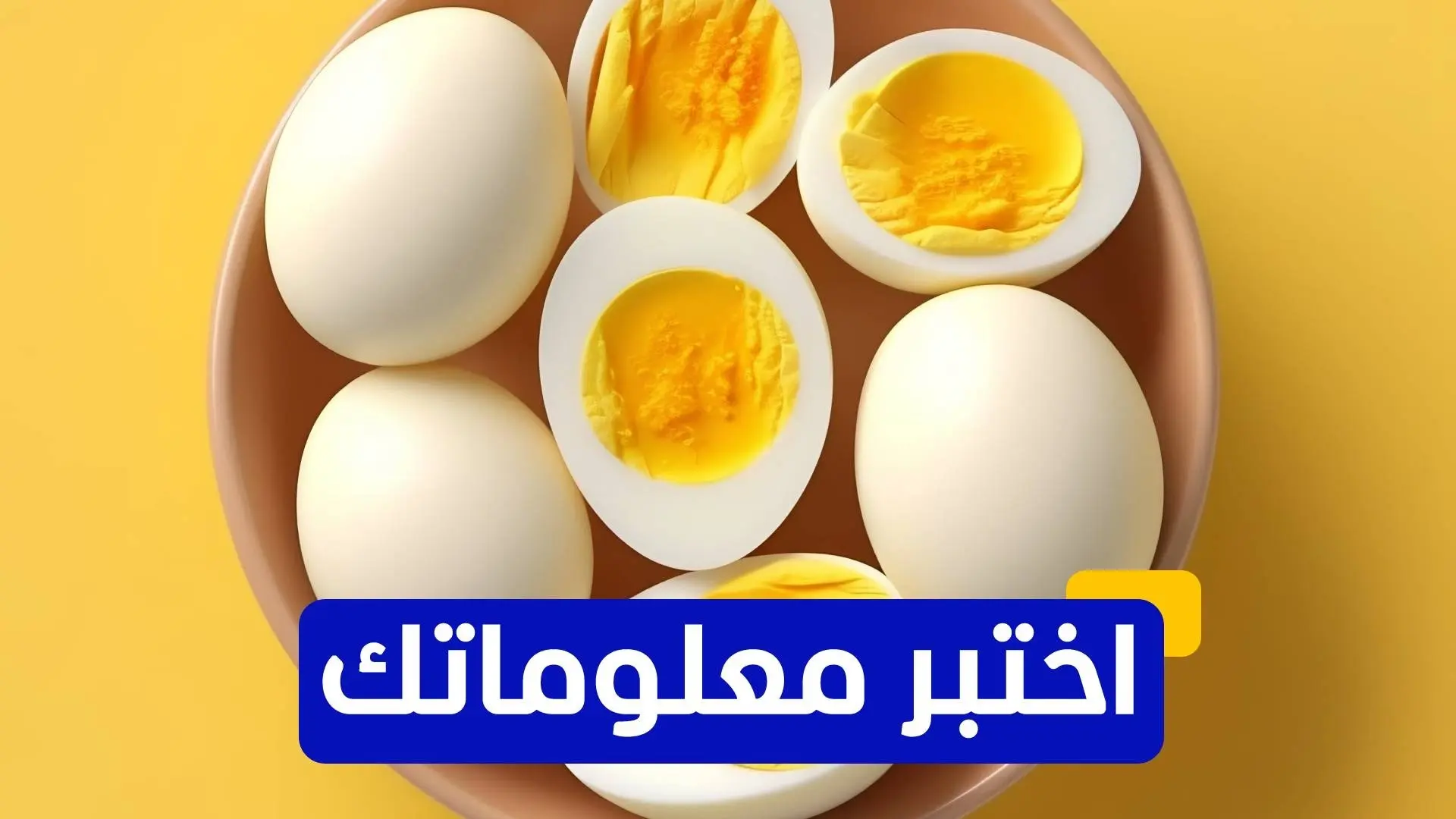 البروتين أحد أهم العناصر للمحافظة على العضلات البروتين أحد أهم العناصر للمحافظة على العضلات