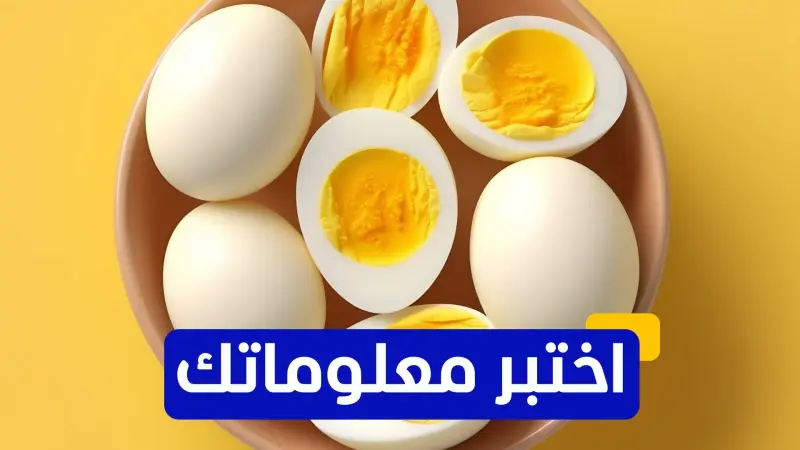اختبر معلوماتك - ماذا يحدث لجسمك إذا تناولت كمية كبيرة من البروتين؟