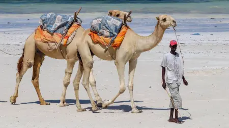 related_news_inside_blogsظاهرة إل نينيو تُضاعف خطر الفيضانات في إفريقيا