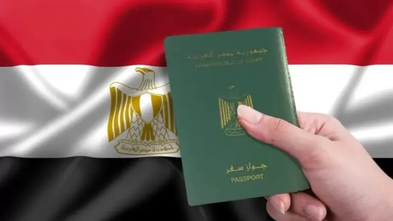 مصر.. ما سبب إسقاط جنسية سالم محمد علي سالم؟