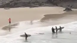 فيديو - هجوم مرعب.. راكب أمواج ينقذ مراهقا من بين أنياب قرش