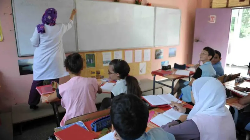 فيديو - الجزائر تختار الإنجليزية لغة أجنبية أولى وتؤجل تدريس الفرنسية