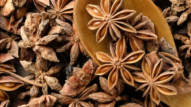 ما فوائد اليانسون النجمي للنساء؟