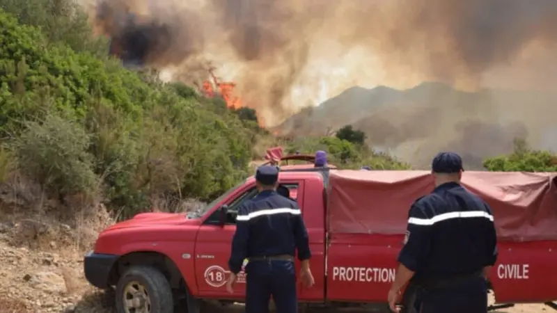 فيديو - ما أسباب حرائق البليدة في الجزائر؟