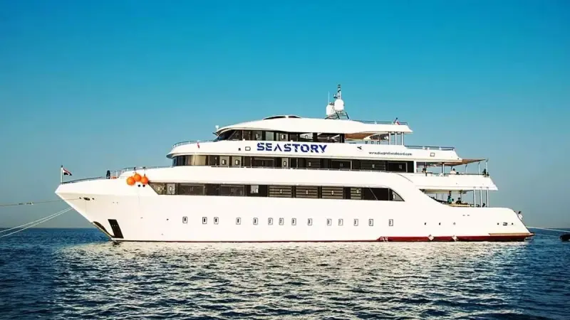 رسمياً.. الإعلان عن حصيلة ضحايا غرق مركب سياحي في مصر