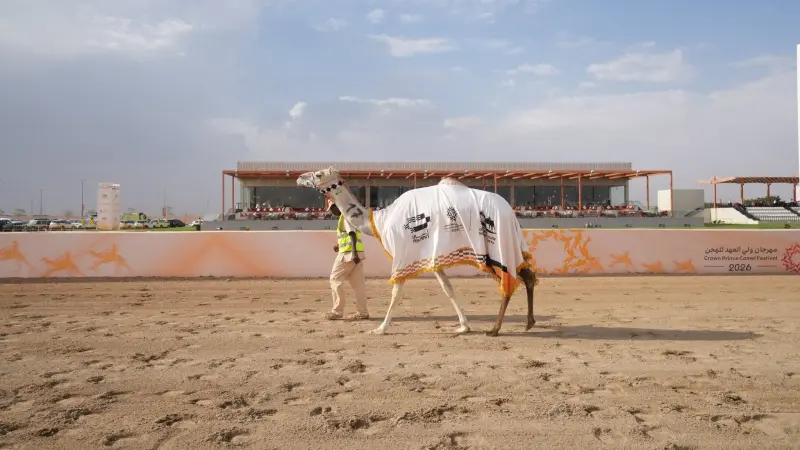 مهرجان ولي العهد للهجن 2026 يسدل الستار على نسخة حافلة بالمنافسات