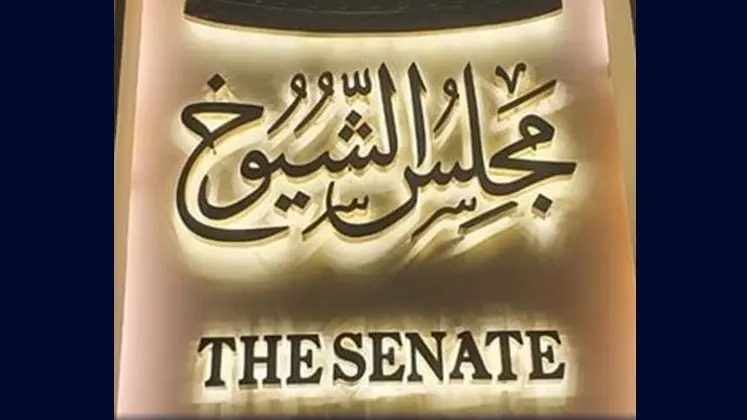 أسماء مرشحي القائمة الوطنية لمجلس الشيوخ في مصر.. إليك القائمة