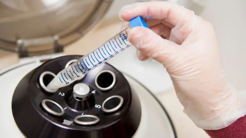 من دون بويضات أو حيوانات منوية.. تطوير أجنة بشرية يمكنها البقاء خارج الرحم