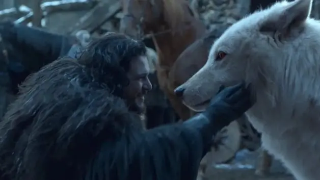 فيديو - بعد انقراضها منذ 10 آلاف سنة.. ذئاب "لعبة" العروش" تعود للحياة