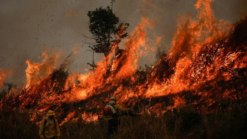 معلومات جديدة ومثيرة عن المساحات المحروقة من الأمازون