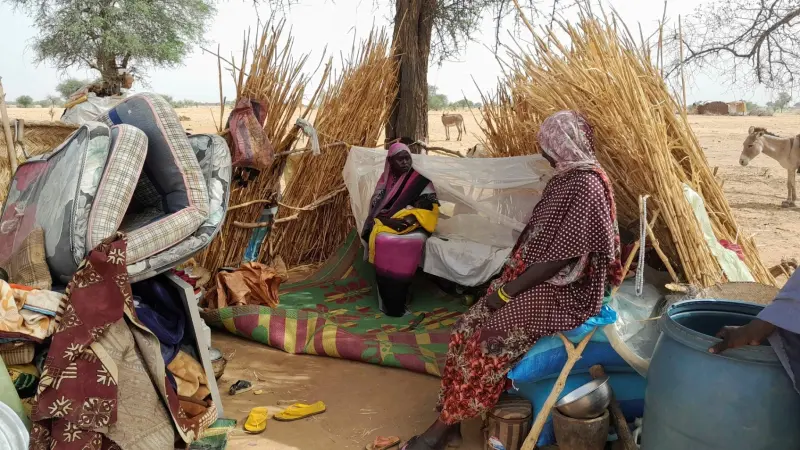 بعد هجوم مسلح على قريتها.. سودانية تضع مولودها وتفرّ إلى تشاد