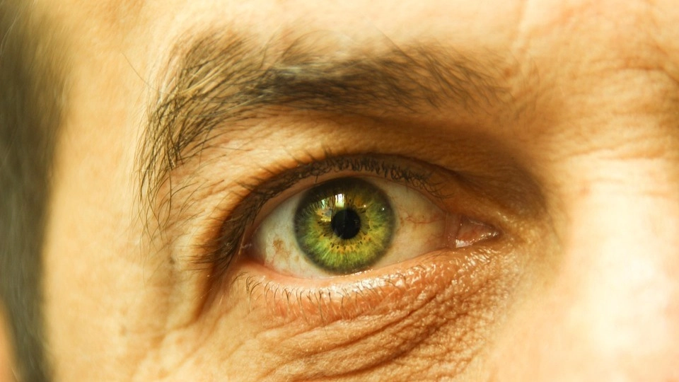 مركبات في الشاي والشوكولاتة تعزز حماية البصر 