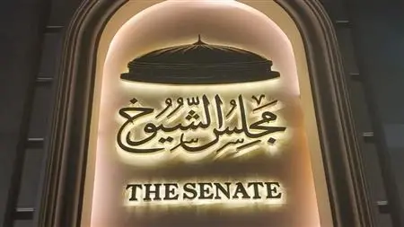 قضية أحمد رفعت.. الموافقة على رفع الحصانة عن نائب بمجلس الشيوخ