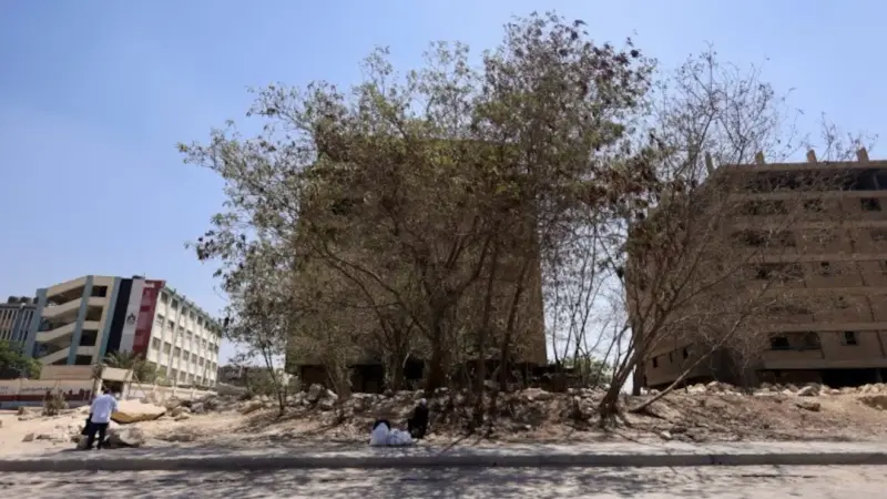 مرتفع جوي.. مصر تسجل درجات حرارة مرتفعة جدا