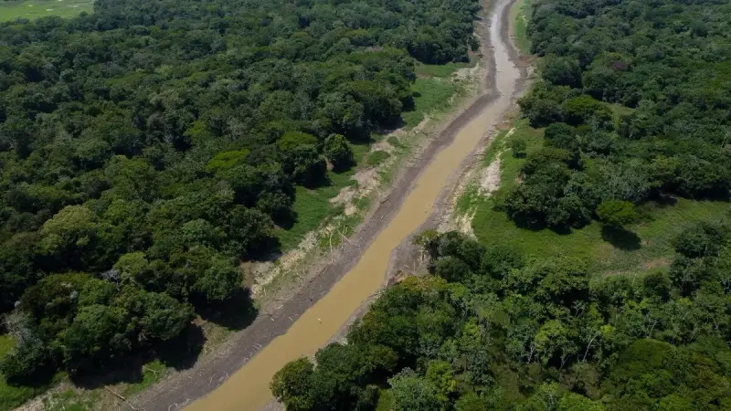 الرعب القادم من الأمازون.. تحذير من تقلبات مناخية شديدة