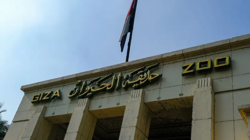 رسميا.. إعلان موعد افتتاح حديقة الحيوان بالجيزة