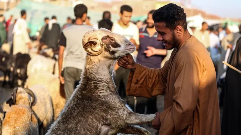 فيديو - وزّع البهجة.. جزار يقيم حفلا صاخبا لأضاحي العيد في مصر