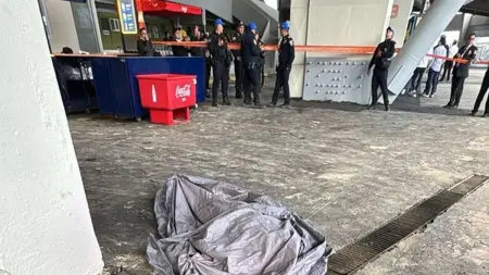 related_news_inside_blogsسقوط مميت لمشجع مخمور يعكر احتفالية ملعب مونديالي بالمكسيك