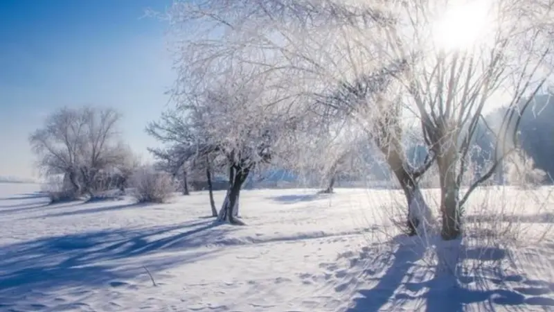 الانقلاب الشتوي 2025: التاريخ والوقت وكل ما تحتاج لمعرفته