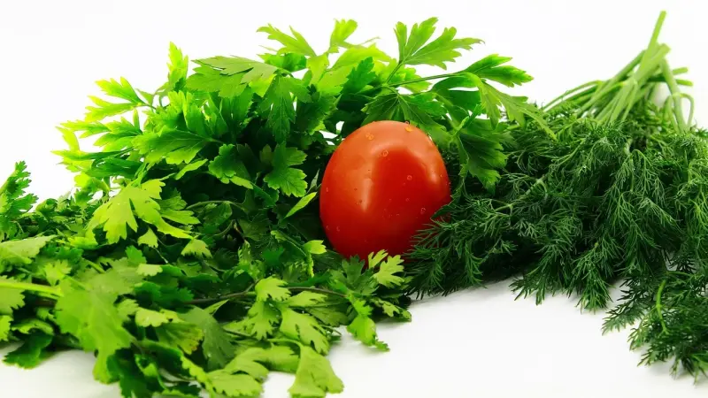 جودة الطعام أهم من نوع الحمية.. مفاجأة علمية بشأن فقدان الوزن