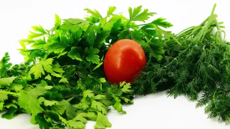 related_news_inside_blogsجودة الطعام أهم من نوع الحمية.. مفاجأة علمية بشأن فقدان الوزن