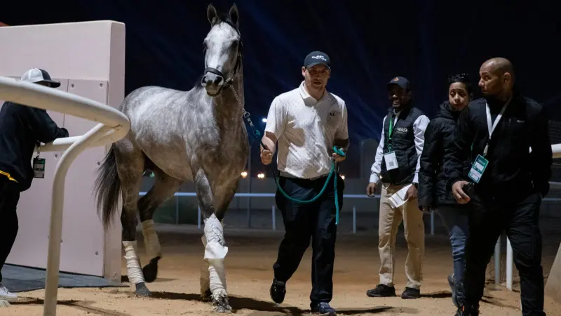 موعد كأس السعودية للفروسية 2024 والقنوات الناقلة.. البطولة الأغلى في العالم