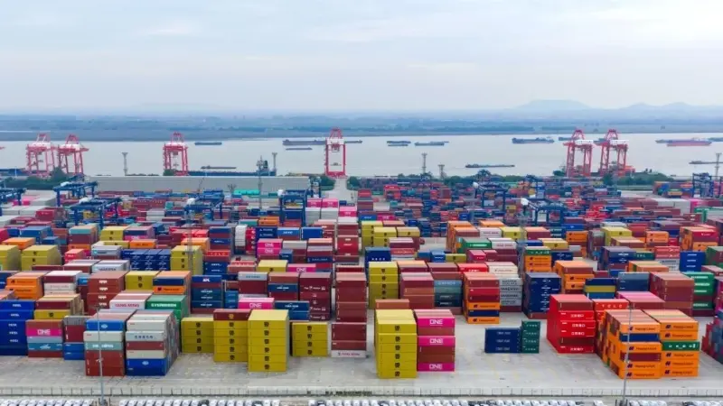 إلغاء رسوم على الصادرات.. تفاصيل اتفاق التجارة بين الهند ونيوزيلندا