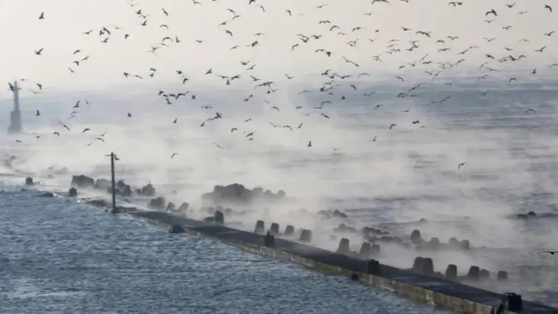 فيديو - ما هو زلزال اليابان"العملاق" المتوقع قريبا؟ تحذيرات من تسونامي