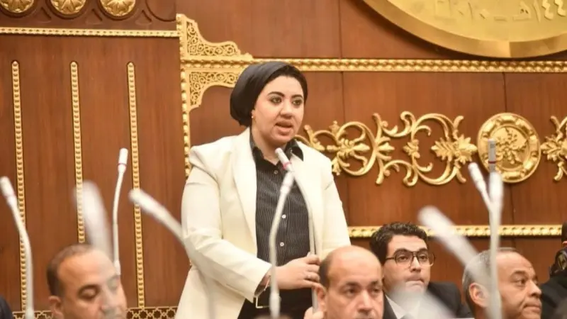 بعد إثارتها الجدل.. برلمانية مصرية تكشف لـ"المشهد" تفاصيل مقترح بنك الجلد