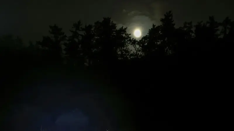 العالم يترقب رؤية انفجار نجم في السماء بالعين المجردة